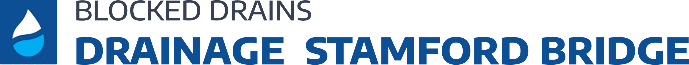 website logo